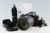 Sony α7 III + FE 24-105mm F/4 G OSS Lens *Japanese Version Only * #61739E2