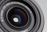 Panasonic LUMIX DC-G100D + G Vario 12-32mm F3.5-5.6 ASPH. MEGA O.I.S. #64904E4