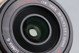 Panasonic LUMIX DC-G100 + G X Vario PZ 14-42mm F3.5-5.6 ASPH. Power O.I.S. #63417D10